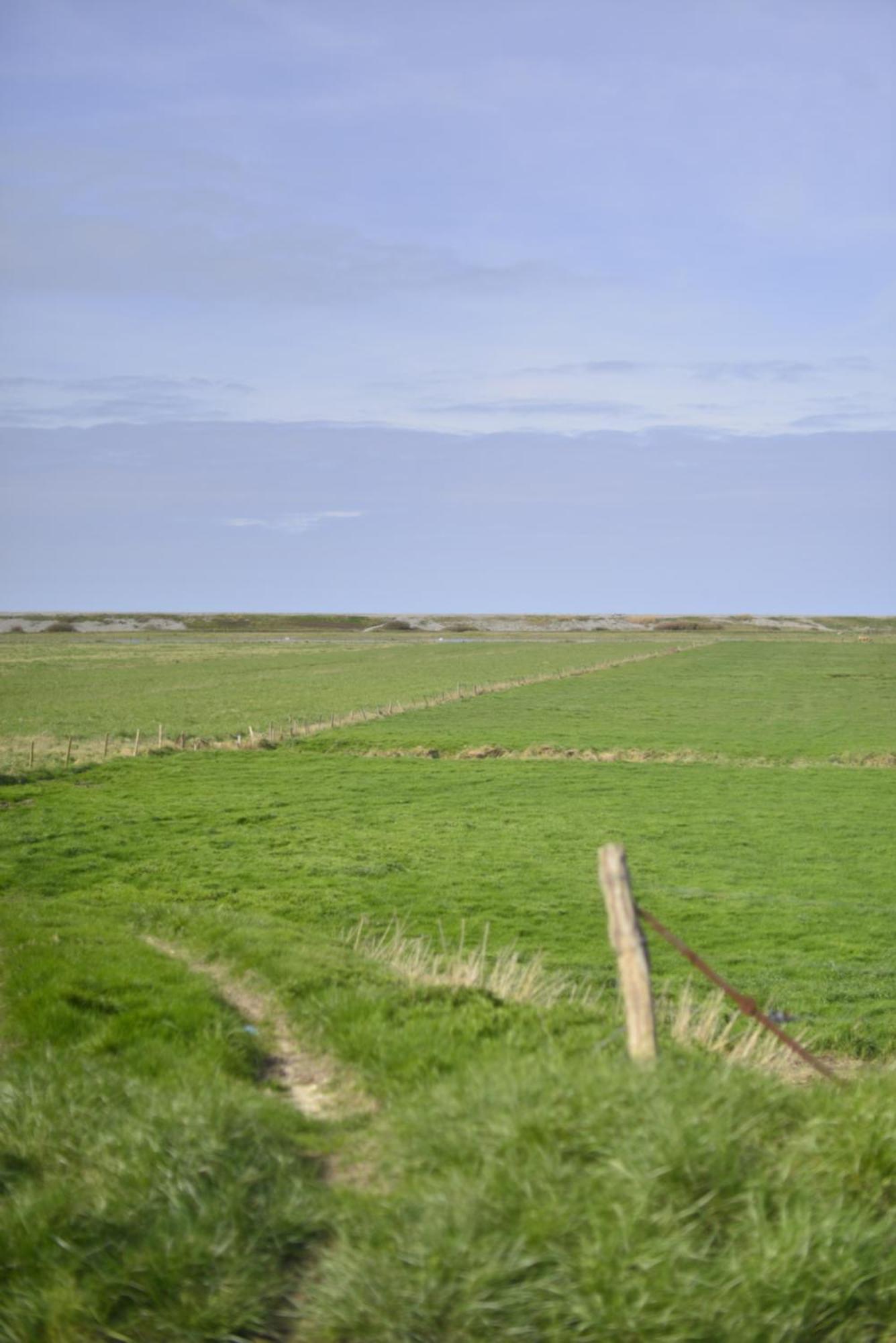 Le Cottage De La Baie - Vue Mer En Baie De Somme Woignarue Zewnętrze zdjęcie